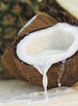 Organic Coconut Ingredients